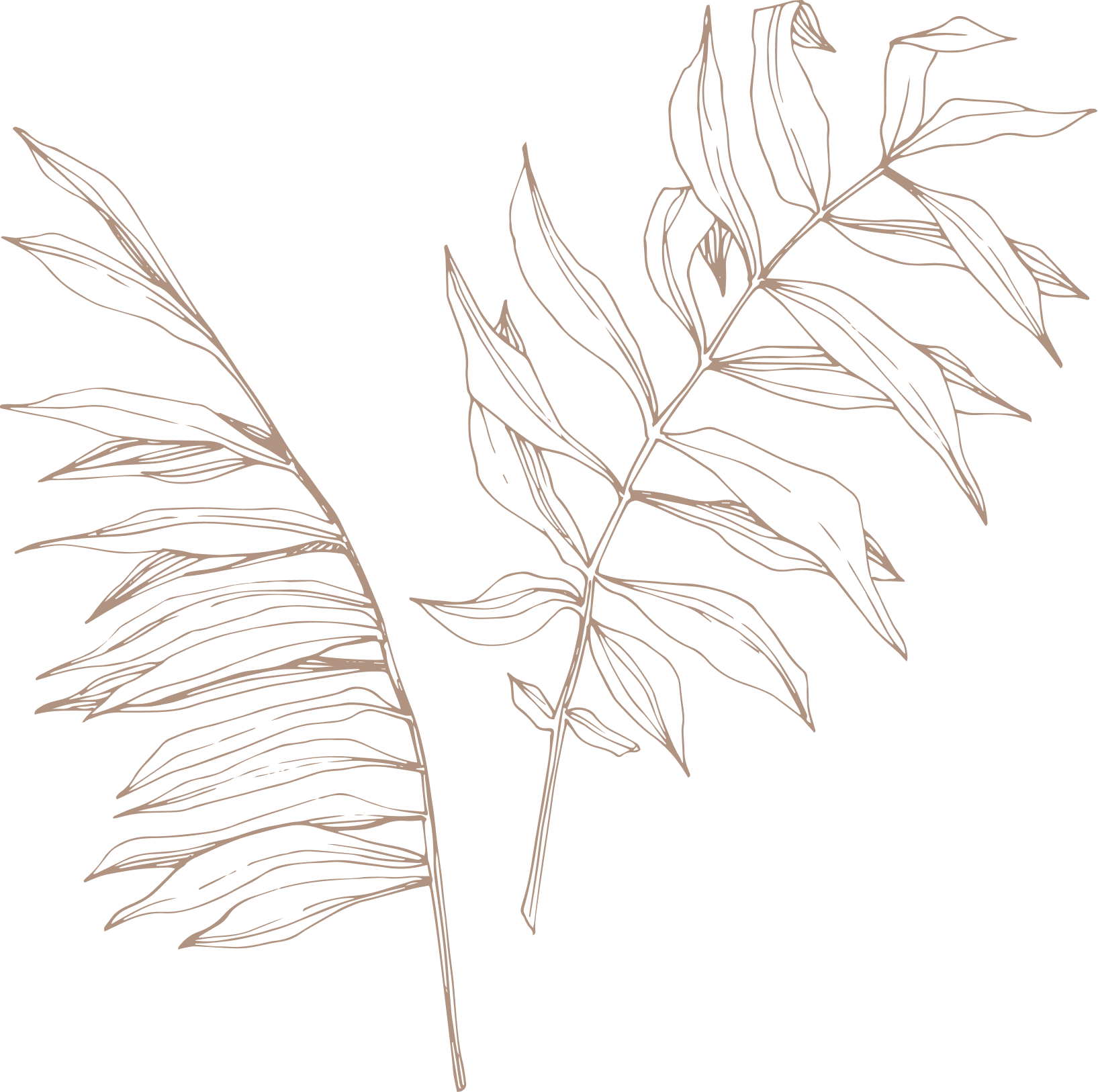 Palm-Couples-therapy