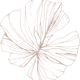 iStock-1179235443_circle palm